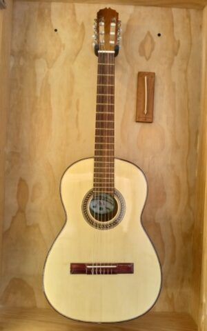 Guitarra Palo Escrito