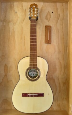 Guitarra Palo Escrito