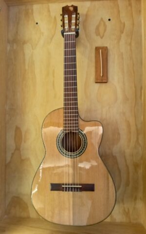 Guitarra Electroacustica