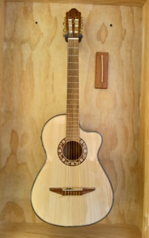 Guitarra Curva Esp Electroacustica