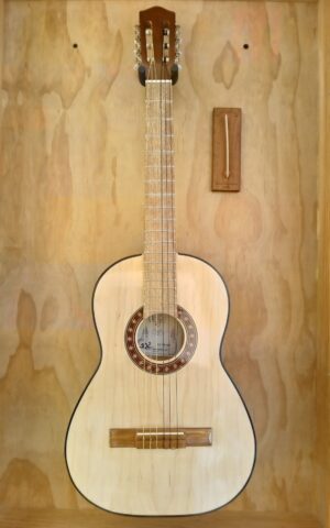 Guitarra Eco