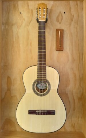 Guitarra 3500